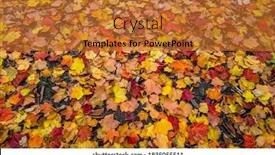  Presentation with maple leaves - PPT theme having close-up-shot-of-colorful background and a red colored foreground