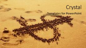  Presentation with dollar sign - Presentation consisting of close up shot of dollar background and a yellow colored foreground