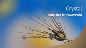  Presentation with dew - Theme having close-up-shot-of-feather background and a teal colored foreground