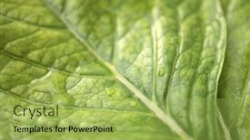  Presentation with drop - 