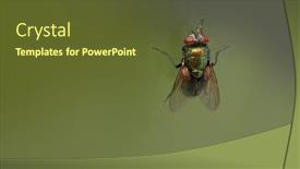  Presentation with house window - PPT layouts having close-up-shot-of-house background and a tawny brown colored foreground