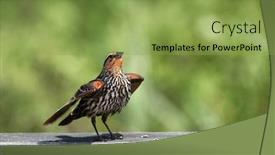  Presentation with pine - Slide deck with close-up-shot-of-pine background and a yellow colored foreground