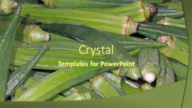  Presentation with okra - Colorful slide deck enhanced with close-up-shot-of-several backdrop and a tawny brown colored foreground