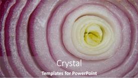  Presentation with red onion - Audience pleasing PPT layouts consisting of close-up-shot-of-sliced backdrop and a gray colored foreground