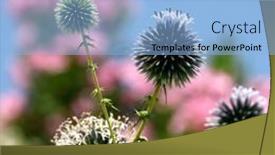  Presentation with power plant boiler - Cool new presentation design with close-up-shot-of-thorny backdrop and a light blue colored foreground