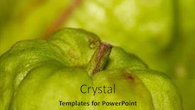  Presentation with tropical fruit - PPT layouts featuring close-up-shot-of-tropical background and a gold colored foreground