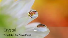  Presentation with water droplets - Slide deck consisting of close-up-shot-of-two background and a mint green colored foreground