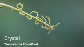  Presentation with vein - Presentation featuring close-up-shot-of-vein background and a ocean colored foreground