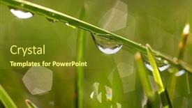  Presentation with water drops - Cool new PPT layouts with close-up-shot-of-water backdrop and a tawny brown colored foreground