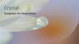  Presentation with water droplet - Slide deck featuring close-up-shot-of-water background and a light gray colored foreground