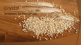  Presentation with shot - Amazing theme having close-up-shot-of-wheatear backdrop and a gold colored foreground