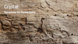  Presentation with wood wood grain - Beautiful PPT theme featuring close-up shot of wood grain pattern backdrop and a coral colored foreground