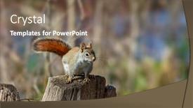  Presentation with steam - Audience pleasing slide deck consisting of close-up-shot backdrop and a violet colored foreground