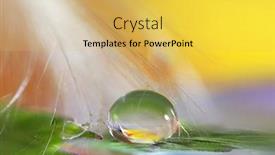  Presentation with droplet - PPT layouts having close-up-shot background and a yellow colored foreground