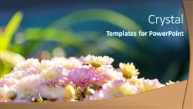  Presentation with flowers - Colorful presentation theme enhanced with close-up-shot backdrop and a ocean colored foreground