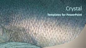  Presentation with armor - Presentation theme with close-up-shot background and a ocean colored foreground