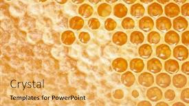  Presentation with wax - Presentation featuring close-up-shot background and a yellow colored foreground