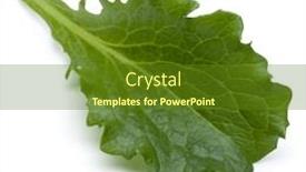  Presentation with green leaf - Beautiful PPT theme featuring close-up-studio-shot backdrop and a tawny brown colored foreground