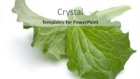  Presentation with green leaf - Beautiful slide set featuring close-up-studio-shot backdrop and a white colored foreground