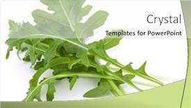  Presentation with green leaves - Beautiful presentation theme featuring close-up-studio-shot backdrop and a white colored foreground