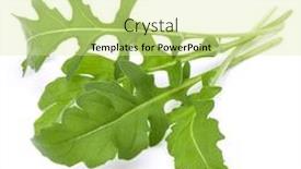  Presentation with rocket - PPT theme having close up studio shot of green fresh rucola leaves isolated on white background rocket salad or arugula background and a blonde colored foreground