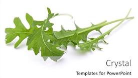  Presentation with green leaves - Audience pleasing presentation consisting of close-up-studio-shot backdrop and a white colored foreground