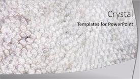  Presentation with trout - Slides enhanced with close-up-texture-of-rainbow background and a light gray colored foreground