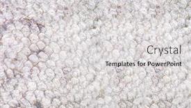  Presentation with trout - Slide deck with close-up-texture-of-rainbow background and a light gray colored foreground