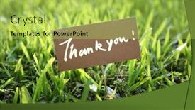  Presentation with thank - Presentation design featuring close-up-thank-you-card background and a yellow colored foreground