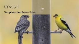  Presentation with house - Presentation theme with close-up-vie-of-house background and a  colored foreground