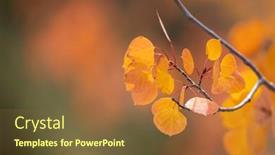  Presentation with bright yellow - Slide deck consisting of close-up-view-bright-yellow background and a  colored foreground