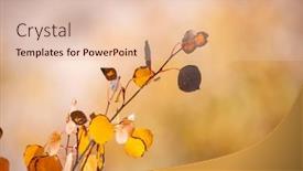  Presentation with bright yellow - PPT theme consisting of close-up-view-bright-yellow background and a lemonade colored foreground