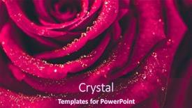  Presentation with water drop - Presentation having close-up-view-of-beatiful background and a violet colored foreground