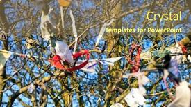  Presentation with fairy - Presentation theme with close-up-view-of-fairy background and a coral colored foreground