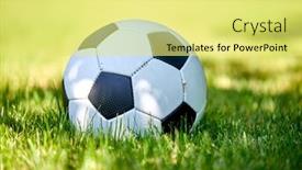  Presentation with leather - Slide set enhanced with close-up-view-of-leather background and a yellow colored foreground