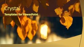  Presentation with water river - Audience pleasing presentation consisting of close-up-view-of-leaves backdrop and a tawny brown colored foreground