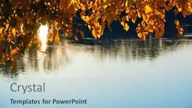  Presentation with water river - Slide set enhanced with close-up-view-of-leaves background and a light blue colored foreground