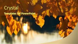  Presentation with water river - Beautiful presentation theme featuring close-up-view-of-leaves backdrop and a tawny brown colored foreground