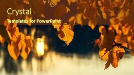  Presentation with water river - Cool new PPT layouts with close-up-view-of-leaves backdrop and a tawny brown colored foreground