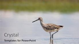  Presentation with sand - Slide deck enhanced with close-up-view-of-sand background and a light gray colored foreground