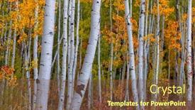  Presentation with tall - PPT layouts featuring close-up-view-of-tall background and a tawny brown colored foreground