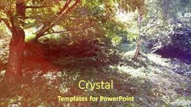  Presentation with woodland - Beautiful slide set featuring close-up view of woodland backdrop and a tawny brown colored foreground