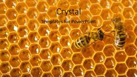  Presentation with working - Cool new presentation with close up view backdrop and a gold colored foreground