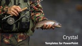  Presentation with house fly insect close up - Theme featuring close-up-view background and a dark gray colored foreground
