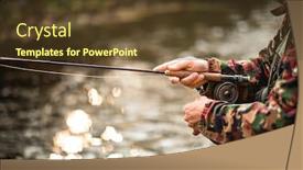  Presentation with house fly insect close up - Theme with close-up-view background and a tawny brown colored foreground