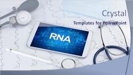  Presentation with rna - Theme having close-up-view background and a sky blue colored foreground