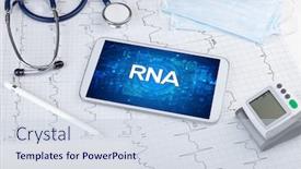  Presentation with rna - Colorful PPT layouts enhanced with close-up-view backdrop and a lemonade colored foreground