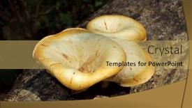  Presentation with funnel - Colorful PPT theme enhanced with close-up-view backdrop and a yellow colored foreground