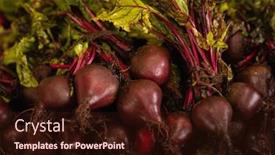  Presentation with beetroot - PPT theme consisting of close-up-view background and a wine colored foreground
