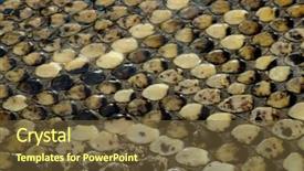  Presentation with python - Colorful presentation theme enhanced with scales on the skin backdrop and a tawny brown colored foreground